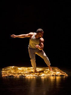 Le voyage de Roméo Le voyage de Roméo